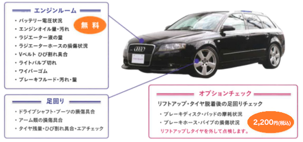 cam's 6 ヶ月チェック