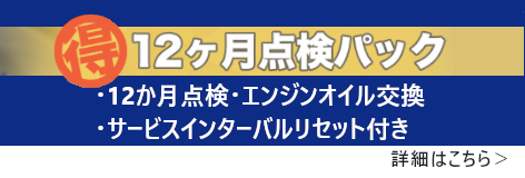 １２か月点検パック